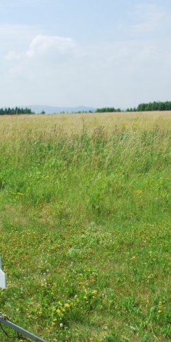 EWvzen a Bullpup  400 Ns 1